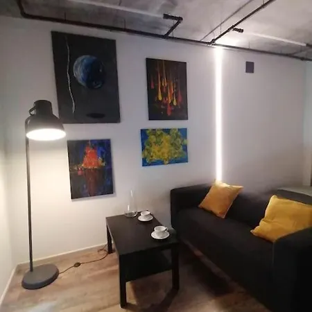 Erdvi Studija Spacious Studio Apartment Self Check In Vilnius Exterior photo