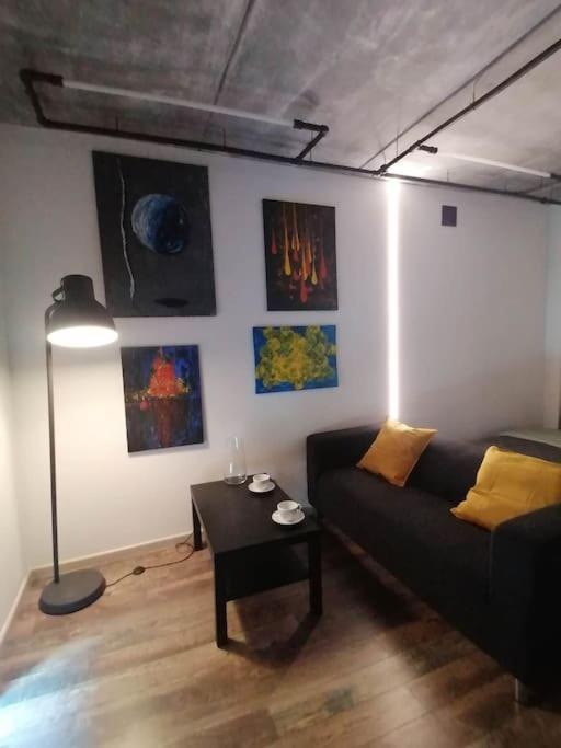 Apartment Erdvi Studija Spacious Self Check In